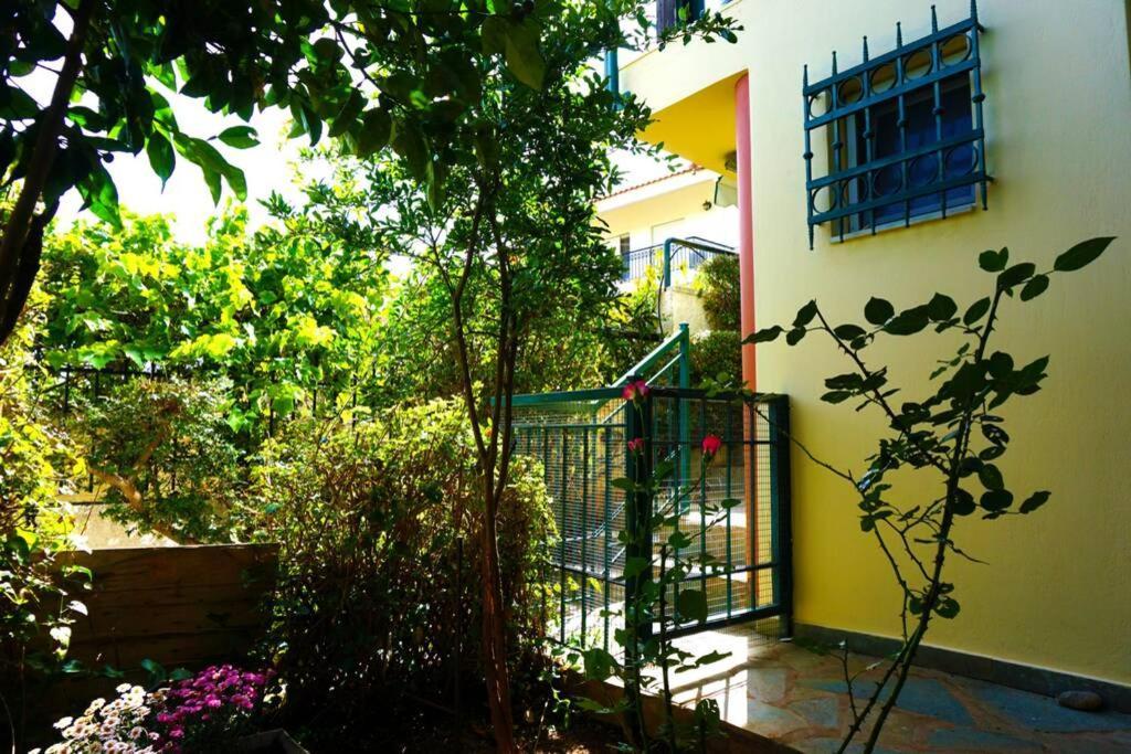 Cosy Guest House With Private Yard Saronida 外观 照片